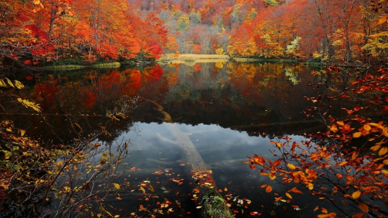 "Осенний бал" - осень в живописи и поэзии