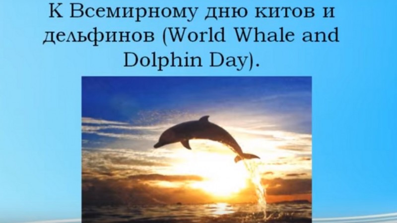 К международному дню китов и дельфинов